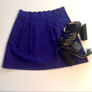 J.Crew Skirt